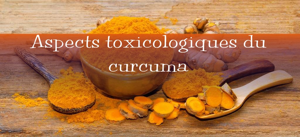 Aspects-toxicologiques-curcuma